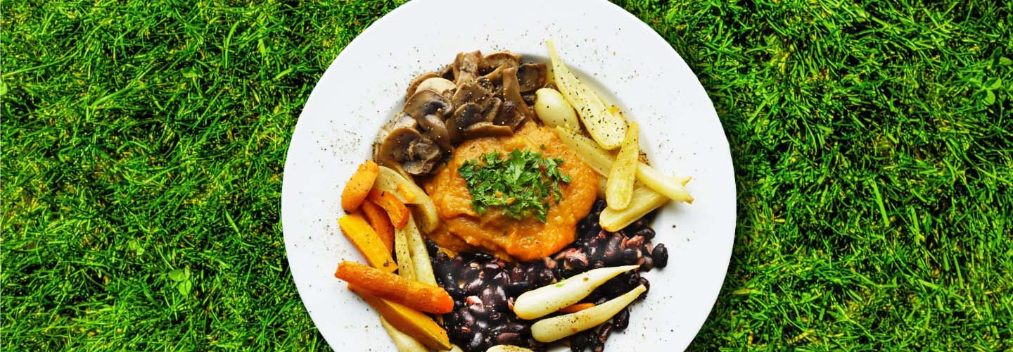 photo d'assitte de purée et légumes prêt à déguster